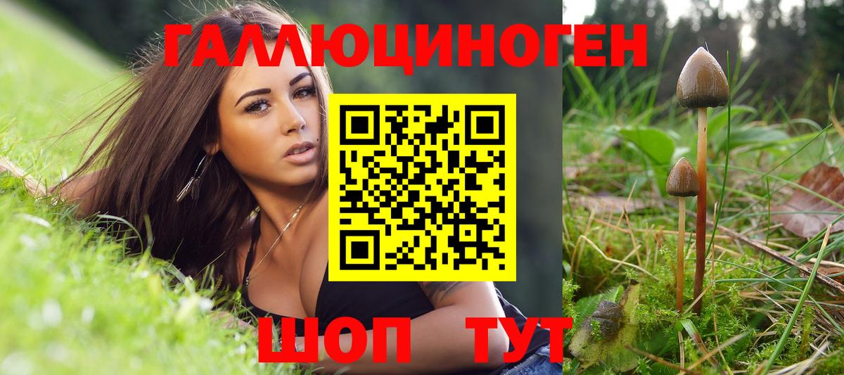 Псилоцибиновые грибы GOLDEN TEACHER  Вход с VPN  Феодосия 